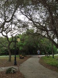 Footpath in park