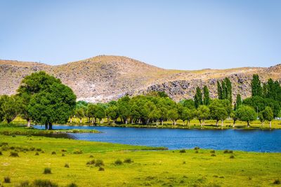 Scenic view of lake and trees against clear sky