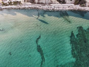 High angle view of underwater in sea