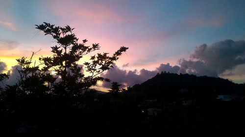 Silhouette trees against sky during sunset