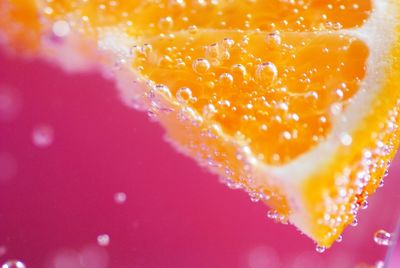 Close-up of orange slice in drink