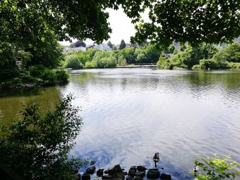 Scenic view of lake