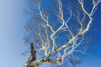 low angle view