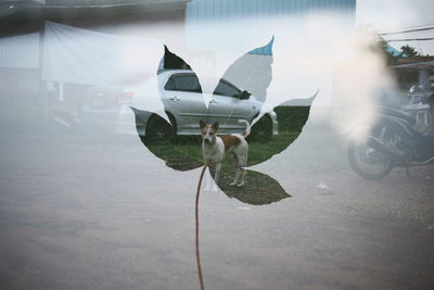 Reflection on street in city