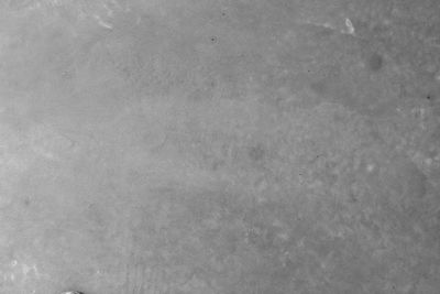 Full frame shot of textured wall