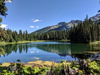 Scenic view of lake by trees against blue sky