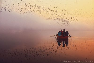 Birds on shore against sky during sunset