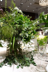 Potted plants on the wall