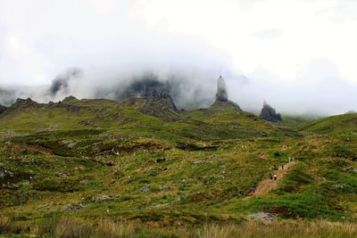 Scenic view of landscape against sky