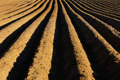 A plowed field. creating a furrow in an arable field, preparing for planting crops in the spring.