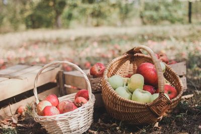 Close-up of fruits in basket