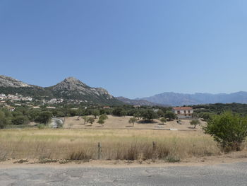 Scenic view of field against clear blue sky