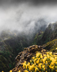 Scenic view of mountains