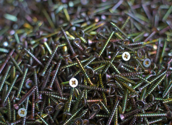 Full frame shot of screws in factory