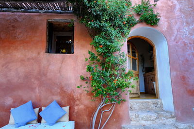 Potted plants on wall of house