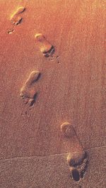 High angle view of footprints on beach