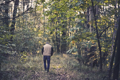 Rear view of man walking in forest