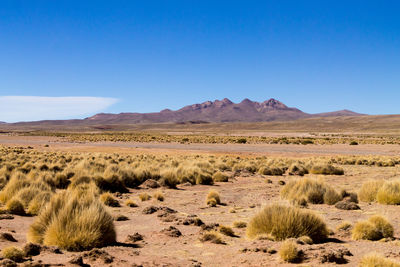 Scenic view of arid landscape against clear blue sky