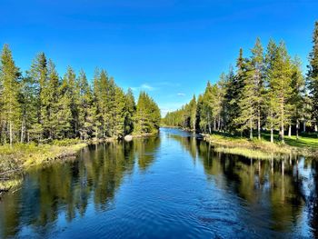 Scenic view of lake in forest against blue sky