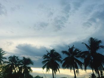 Low angle view of silhouette palm trees against sky