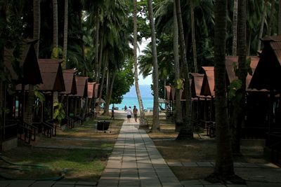 View of trees in water