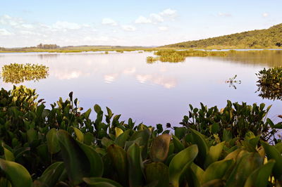 Scenic view of lake against sky