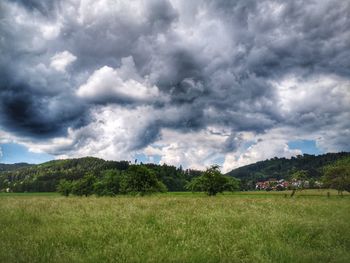 Scenic view of field against sky