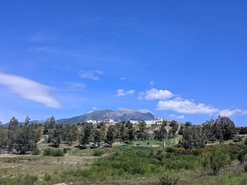 Scenic view of landscape against blue sky