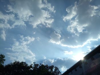 Low angle view of trees against sky