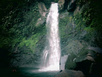 Scenic view of waterfall in forest