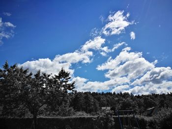 Low angle view of trees against blue sky