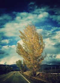 Road by trees on field against sky