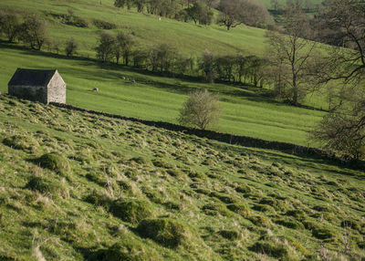 High angle view of landscape