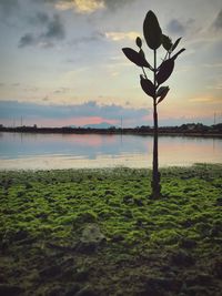 Scenic view of lake against sky during sunset