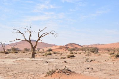 Scenic view of desert against sky