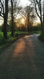 Road amidst trees against sky during sunset