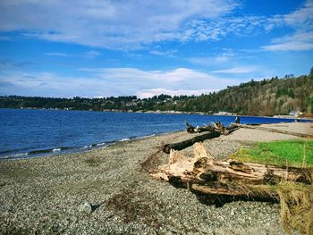 Scenic view of beach against sky