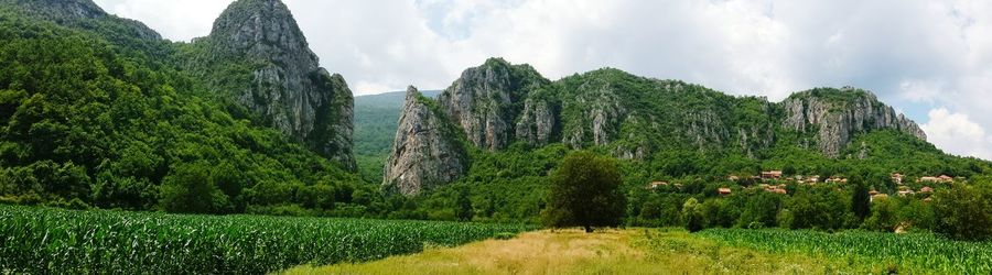 Panoramic view of field against cloudy sky