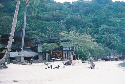 Built structure on beach against trees in forest