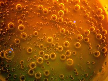 Close-up of bubbles in glass