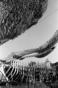 High angle view of boats moored on land