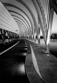 Empty road along trees