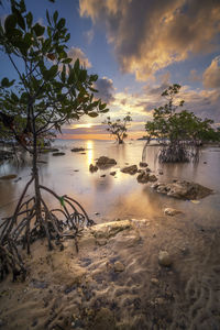 Scenic view of beach against sky during sunset