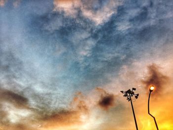 Close-up of flower tree against sky