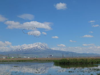 Birds flying over lake against sky