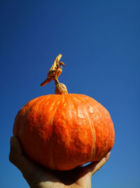 Close-up of hand holding pumpkin against clear blue sky