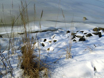 High angle view of lake during winter