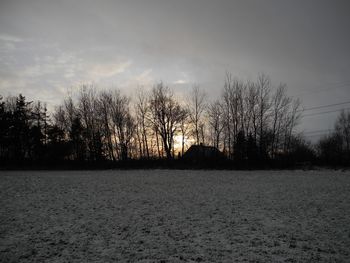Bare trees on snow landscape against sky