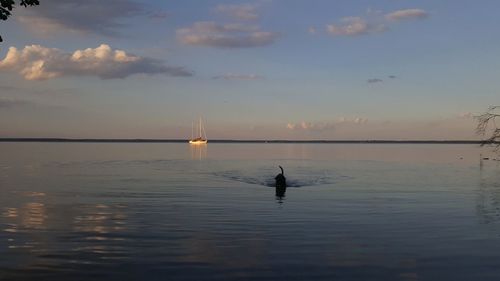 Scenic view of sea against sky during sunset