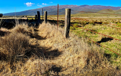 Wooden fence on field against sky